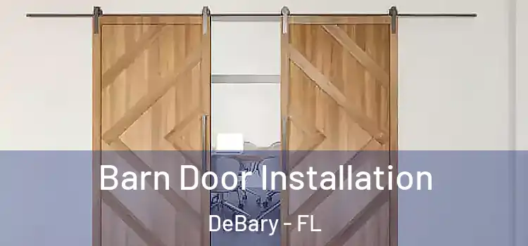  Barn Door Installation DeBary - FL
