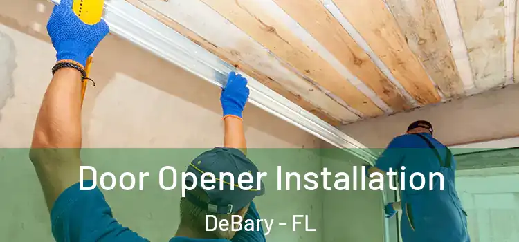  Door Opener Installation DeBary - FL