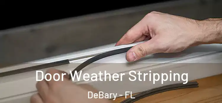  Door Weather Stripping DeBary - FL
