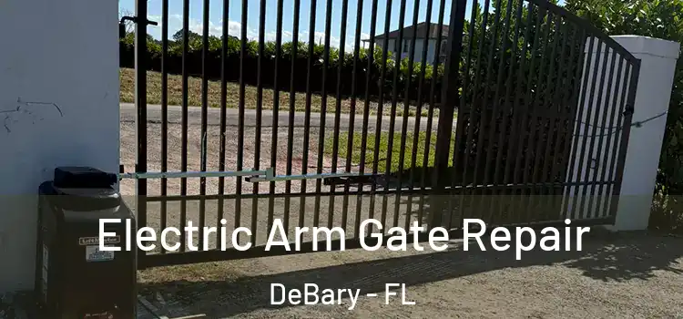 Electric Arm Gate Repair DeBary - FL