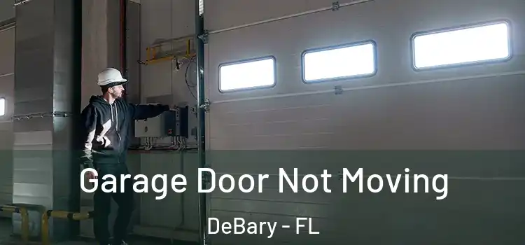  Garage Door Not Moving DeBary - FL