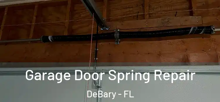  Garage Door Spring Repair DeBary - FL