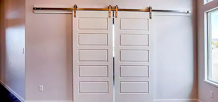 Glass Barn Door with Installation Hardware Kit DeBary