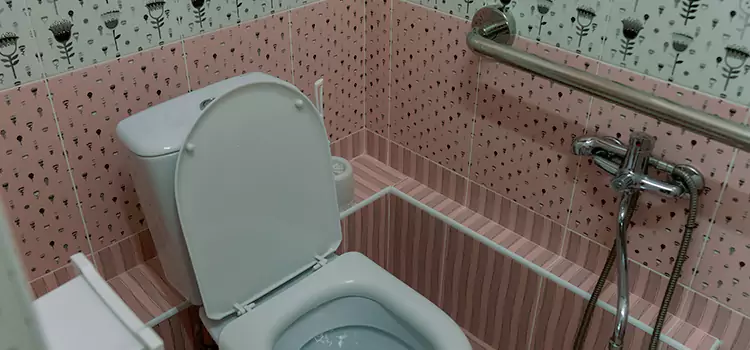 Meeting Diverse Needs With Accessible Restroom Solutions in DeBary, FL