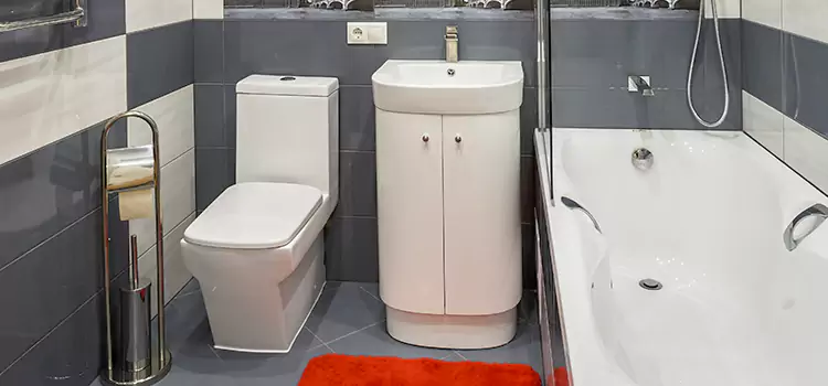 Hansgrohe Shaving Mirror DeBary