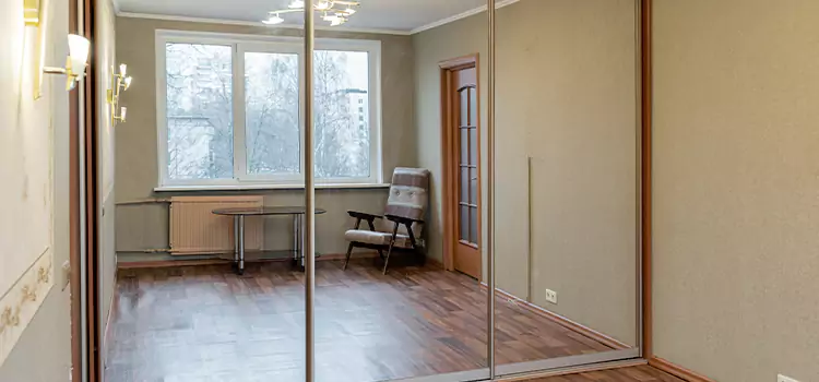 Mirror Closet Door Roller Replacement DeBary