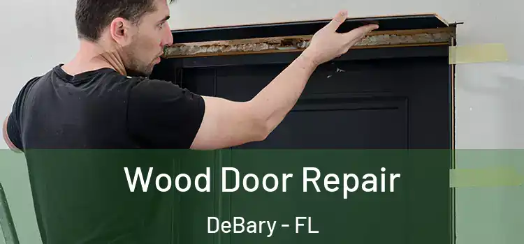  Wood Door Repair DeBary - FL